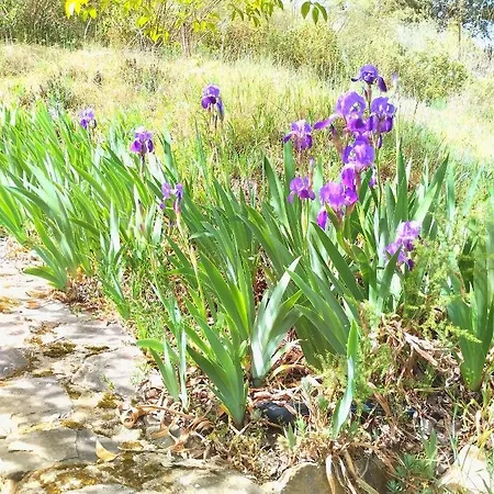 Літній будинок La Casita De Piedra *