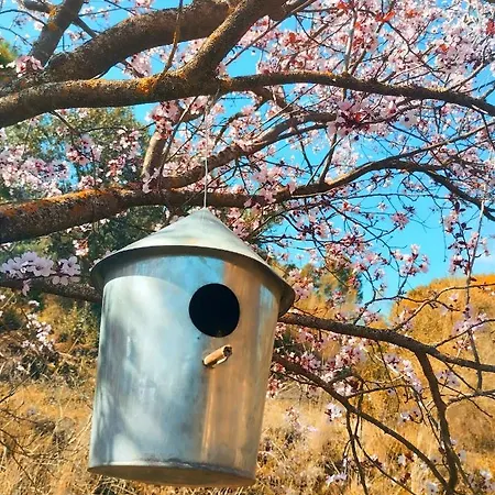 La Casita De Piedra Ронда