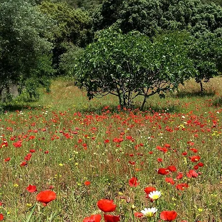 La Casita De Piedra * Ронда