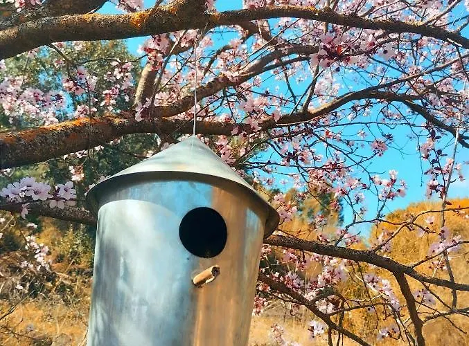 La Casita De Piedra 론다