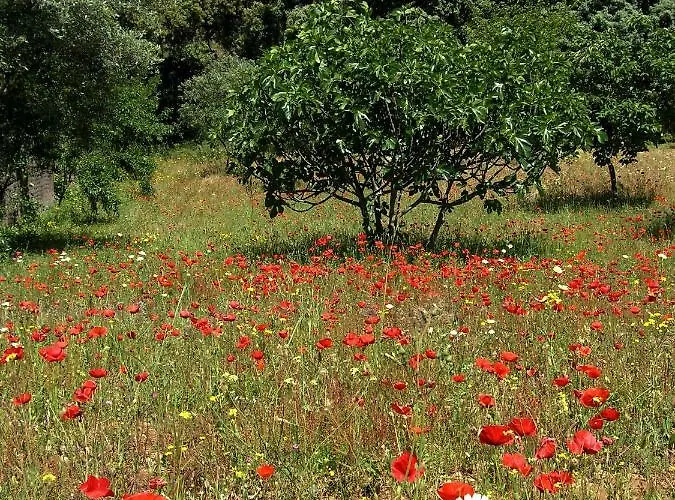 La Casita De Piedra * 론다