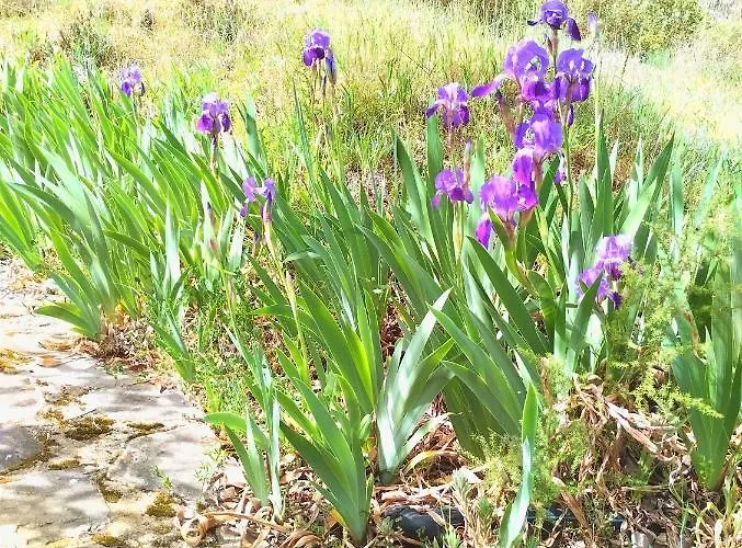 Casa di campagna La Casita De Piedra *